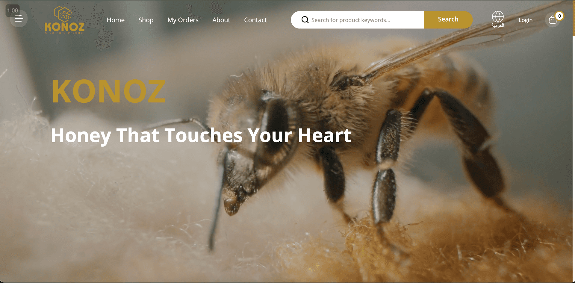 E-Commerce Excellence Desktop View 2